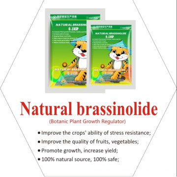 Brassinolide naturel à 60% de poudre de tc